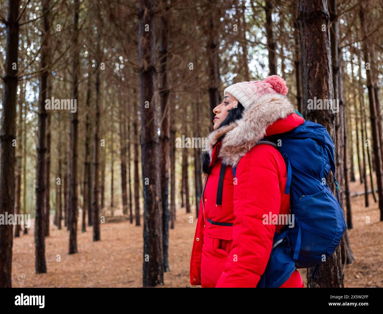 Randonneur femme en randonnée dans la forêt Banque D'Images