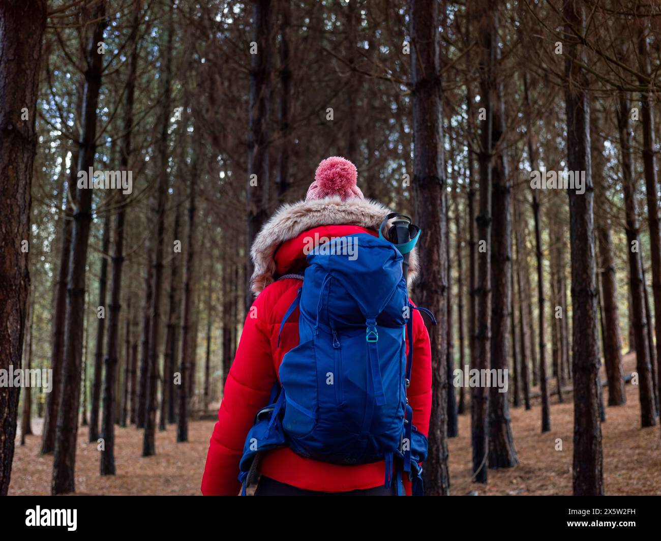 Randonneur femme en randonnée dans la forêt Banque D'Images