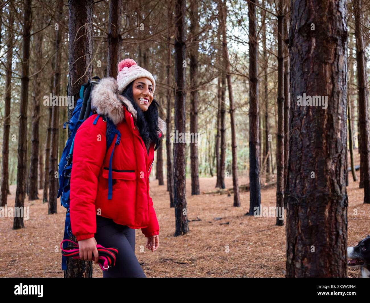 Randonneur femme en randonnée dans la forêt avec chien Banque D'Images