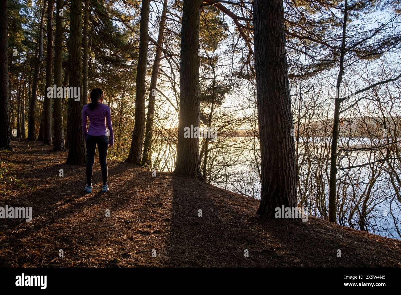 Joggeur féminin debout dans la forêt et regardant le lac Banque D'Images