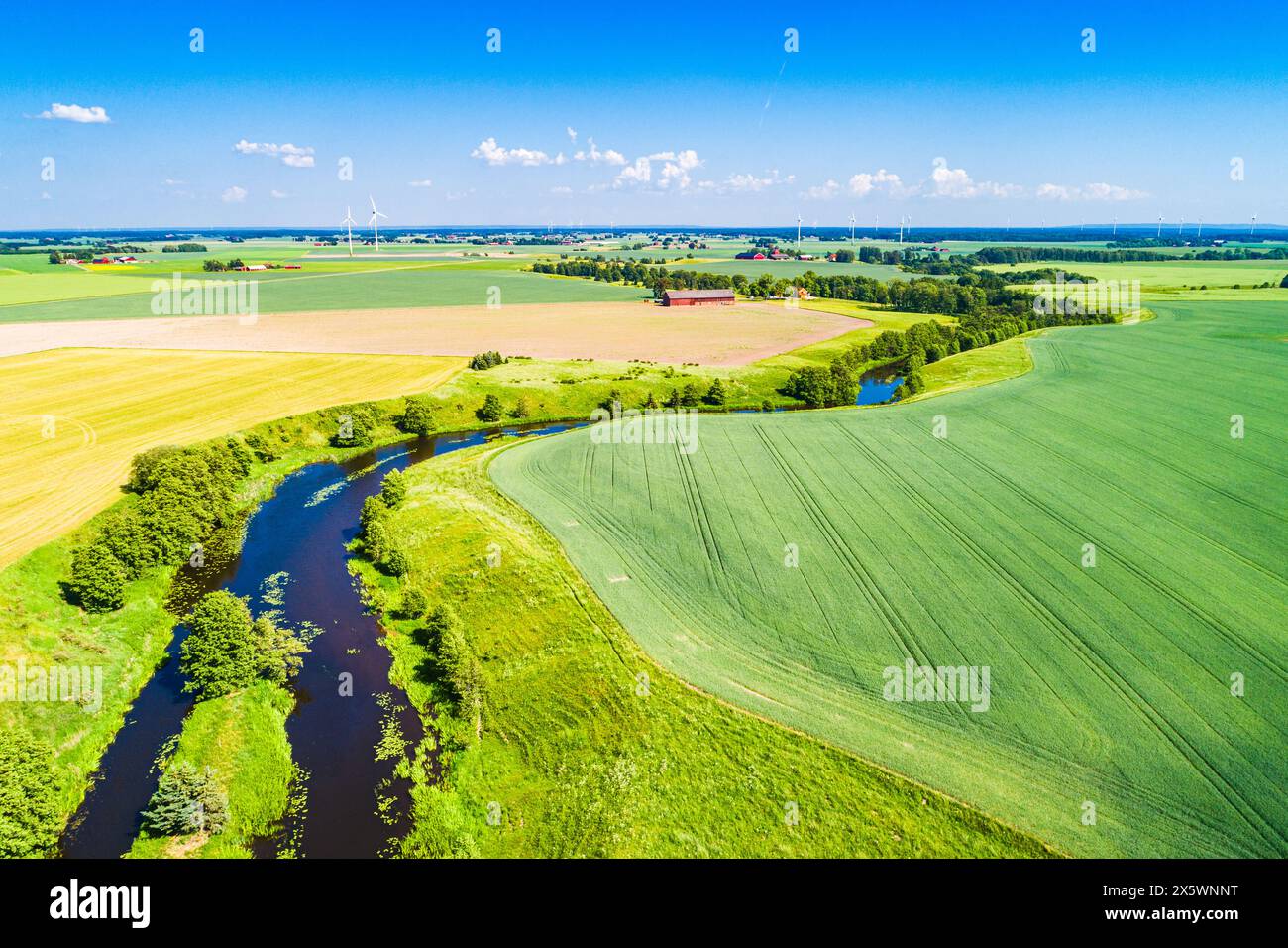 Une rivière serpente à travers une campagne verdoyante en Suède, entourée de champs verdoyants et d'une végétation vibrante sous un ciel bleu clair. Banque D'Images