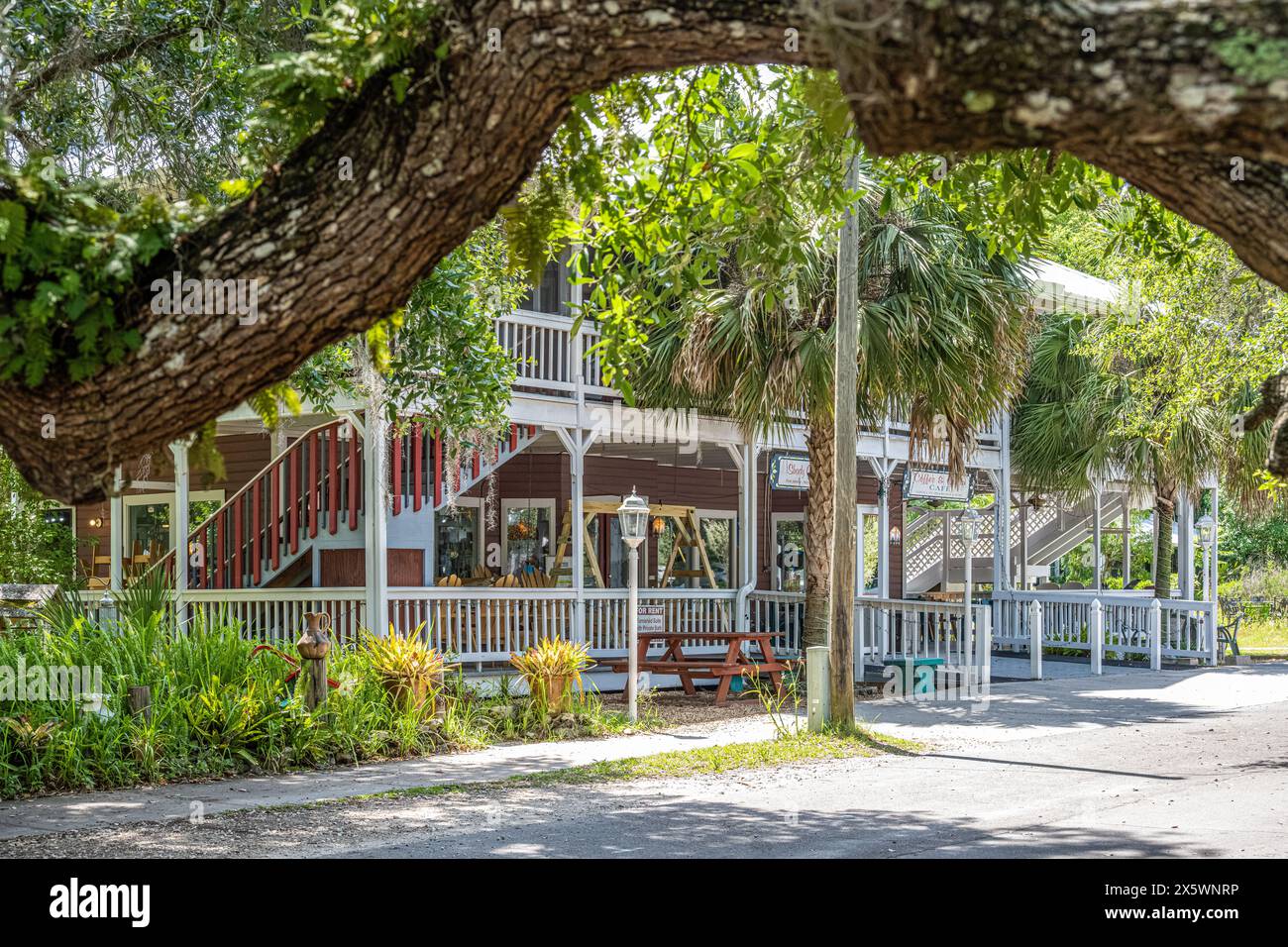 Le bâtiment Shady Oak avec galerie d'artisanat local, café et magasin de crème glacée dans le centre-ville historique de Micanopy, Floride. (ÉTATS-UNIS) Banque D'Images