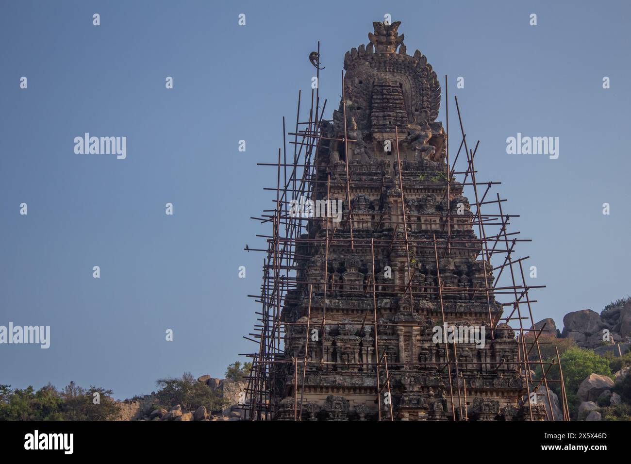 Temple de Gingee Venkataramana dans le complexe de Gingee Fort, district de Villupuram, Tamil Nadu, Inde. Banque D'Images