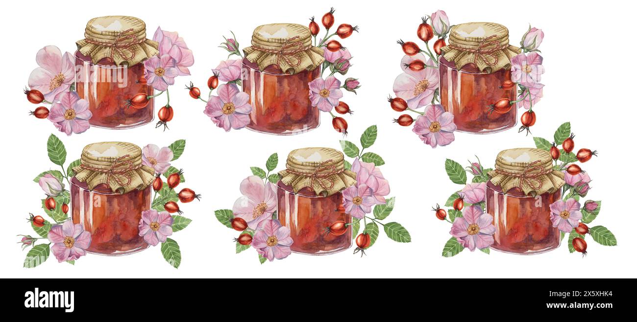 Ensemble de confiture de hanche rose faite maison dans un pot en verre avec arc de corde de couvercle en tissu. Crêpe, beignet remplissant traditionnel autrichien allemand fruits suisses conserver illustration aquarelle pour l'impression, les étiquettes, l'emballage Banque D'Images