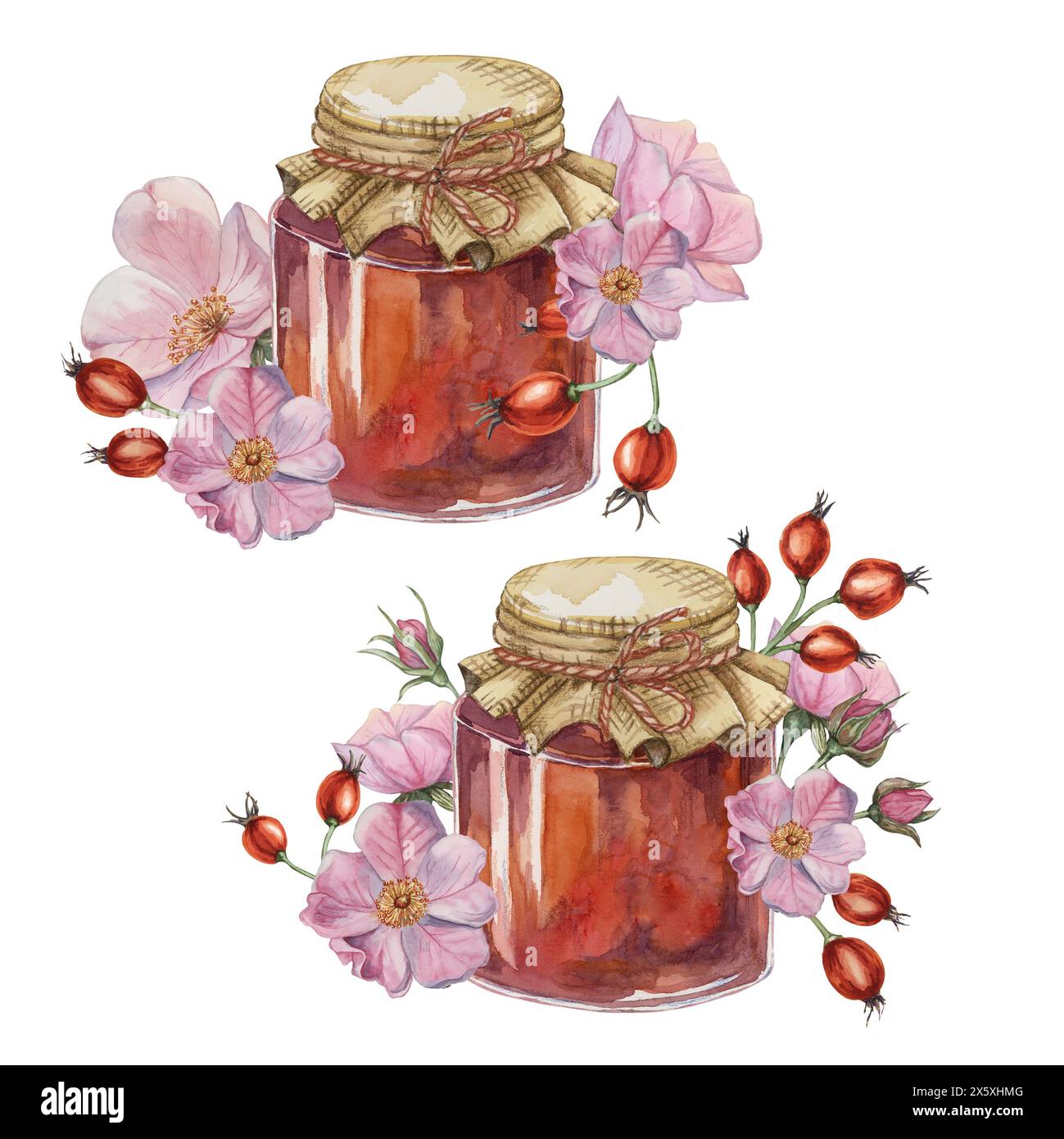 Ensemble de confiture de hanche rose faite maison dans un pot en verre avec arc de corde de couvercle en tissu. Crêpe, beignet remplissant traditionnel autrichien allemand fruits suisses conserver illustration aquarelle pour l'impression, les étiquettes, l'emballage Banque D'Images