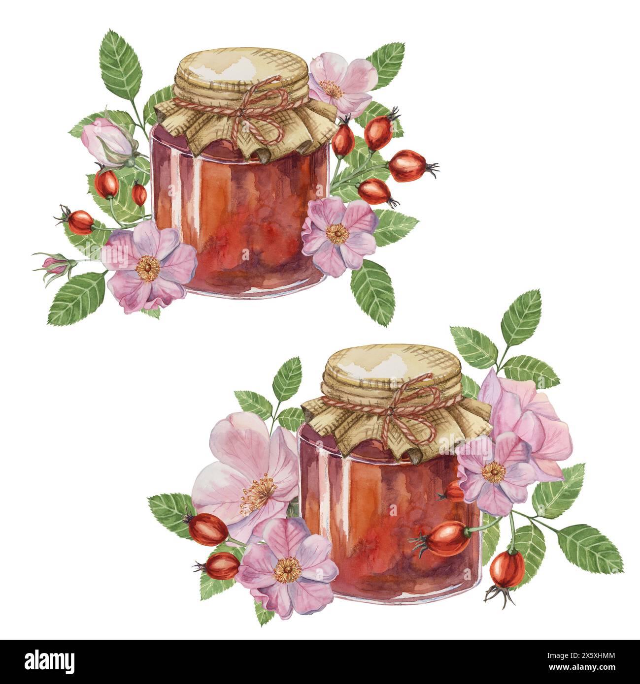 Ensemble de confiture de hanche rose faite maison dans un pot en verre avec arc de corde de couvercle en tissu. Crêpe, beignet remplissant traditionnel autrichien allemand fruits suisses conserver illustration aquarelle pour l'impression, les étiquettes, l'emballage Banque D'Images