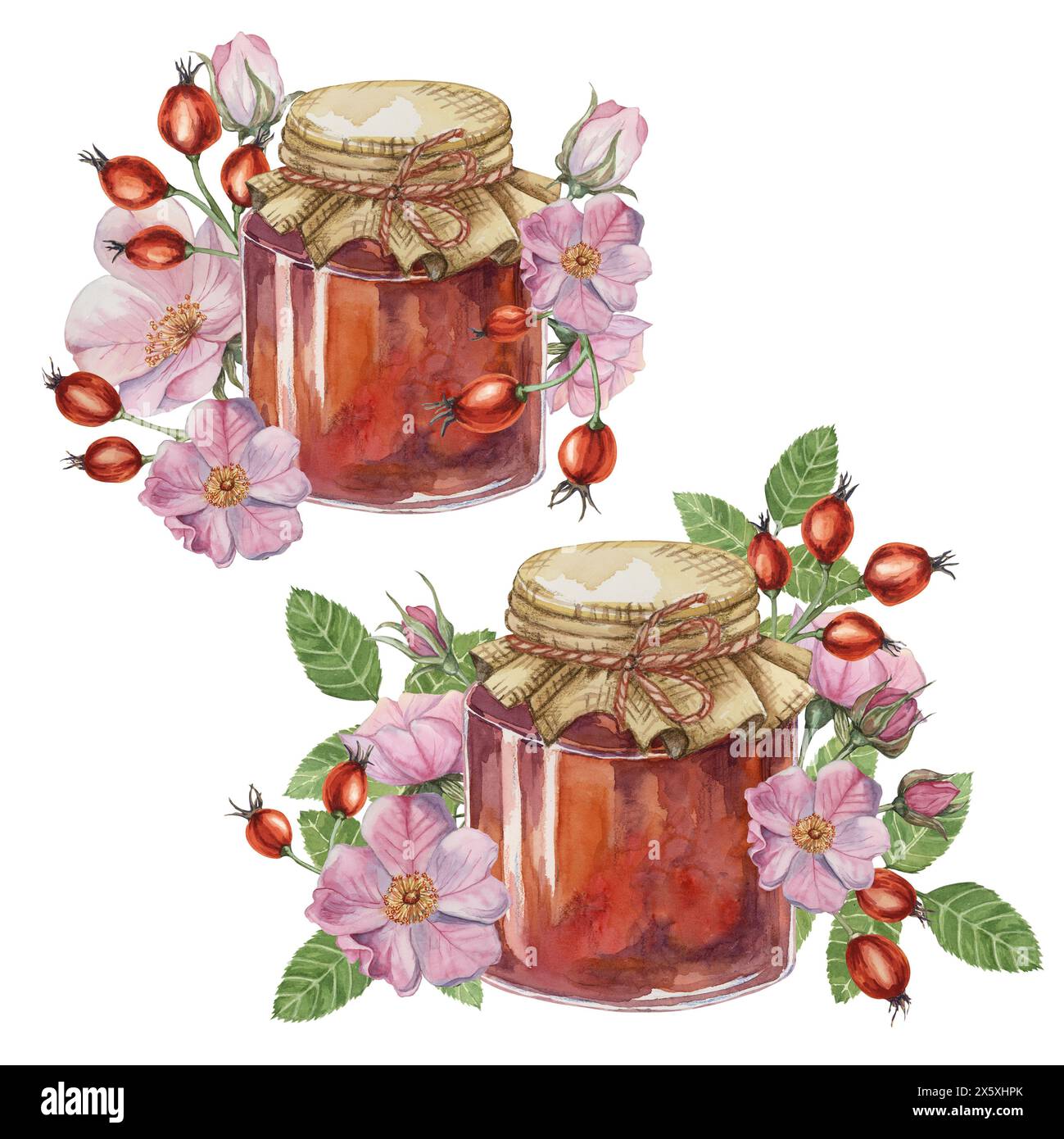 Ensemble de confiture de hanche rose faite maison dans un pot en verre avec arc de corde de couvercle en tissu. Crêpe, beignet remplissant traditionnel autrichien allemand fruits suisses conserver illustration aquarelle pour l'impression, les étiquettes, l'emballage Banque D'Images