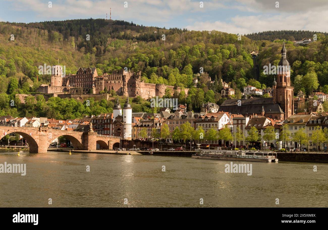 Vue sur le centre de Heidelberg depuis Neuenheimer Lanstrasse, avec le vieux pont, Stadttor, la tour de l'église et le château. Banque D'Images