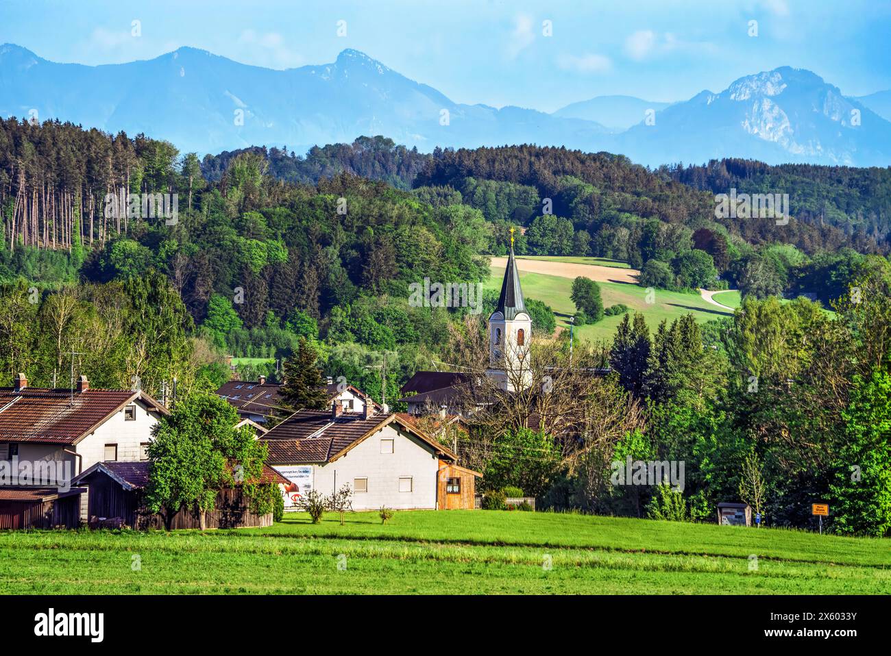 Blick über Glonn bis zu den Alpen, Erholungsort im Landkreis Ebersberg, Oberbayern, Glonn, mai 2024 Deutschland, Glonn, mai 2024, Blick über Glonn bis zu den Alpen, der Markt Glonn ist ein Erholungsort im Landkreis Ebersberg, Kirchturm der katholischen Pfarrkirche : Johannes ragt aus der grünen Landschaft, Oberbayern, bestes Frühlingswetter, Sonnenschein, blauer Himmel, Glonn Hat CA. 5,300 Einwohner, Urlaub in Bayern, gute Fernsicht, Bayern, *** vue sur Glonn aux Alpes, station balnéaire dans le district d'Ebersberg, haute-Bavière, Glonn, mai 2024 Allemagne, Glonn, mai 2024, vue sur Glonn à l'Al Banque D'Images