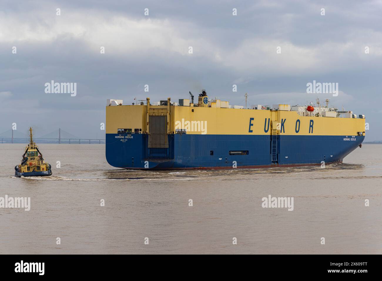 Porte-véhicules Morning Cecilie se dirigeant vers Royal Portbury Docks Banque D'Images