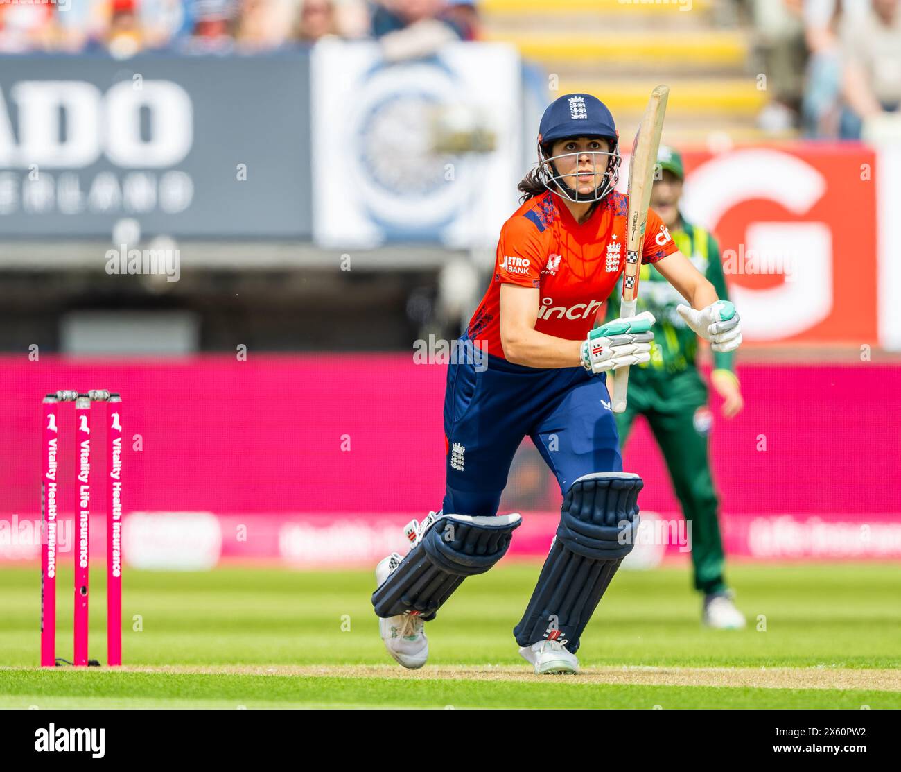 Maia Bouchier battant pour l'Angleterre lors de la série internationale Vitality T20 entre l'Angleterre et le Pakistan Banque D'Images