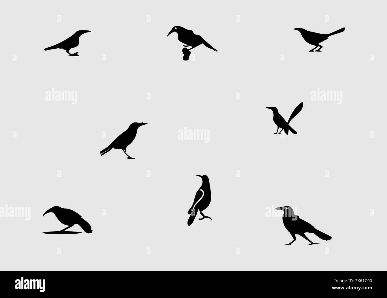 Style minimal conception d'illustration d'icône grackle commune Illustration de Vecteur