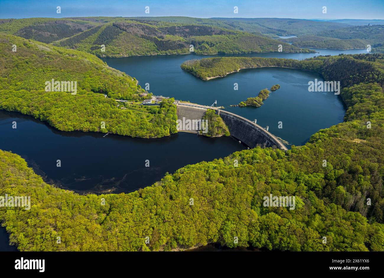 Luftbild, Fluss Rur Urftsee, Urfttalsperre Staumauer, Fernsicht Waldgebiet Täler und Hügel Nordeifel Nationalpark Eifel, Morsbach, Schleiden, Nordrhein-Westfalen, Deutschland ACHTUNGxMINDESTHONORARx60xEURO *** vue aérienne, rivière Rur Urfttalsperre, région forestière lointaine collines et vallées North Eifel, Rhénèves North Eifel National Park, Rhénanie-Westphalia, Allemagne Banque D'Images Luftbild, Fluss Rur Urftsee, Urfttalsperre Staumauer, Fernsicht Waldgebiet Täler und Hügel Nordeifel Nationalpark Eifel, Morsbach, Schleiden, Nordrhein-Westfalen, Deutschland ACHTUNGxMINDESTHONORARx60xEURO *** vue aérienne, rivière Rur Urfttalsperre, région forestière lointaine collines et vallées North Eifel, Rhénèves North Eifel National Park, Rhénanie-Westphalia, Allemagne Banque D'Images