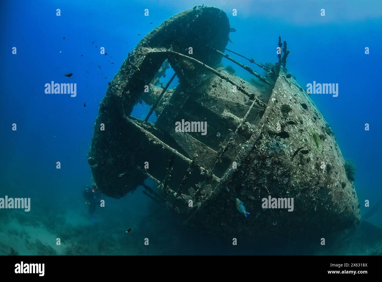 L'épave énigmatique de Thistlegorm repose silencieusement sur le fond de l'océan, sa coque rouillée est maintenant un habitat complexe pour la vie marine. La beauté étrange de Thi Banque D'Images
