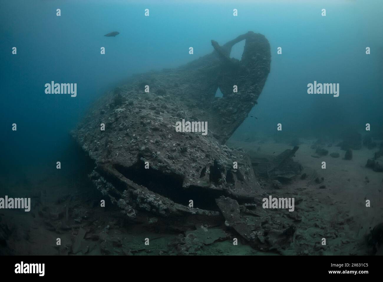 L'épave légendaire de Dunraven, un navire de l'époque victorienne qui a connu son destin dans la mer Rouge, repose incrusté de corail, une tapisserie sous-marine historique pour Banque D'Images