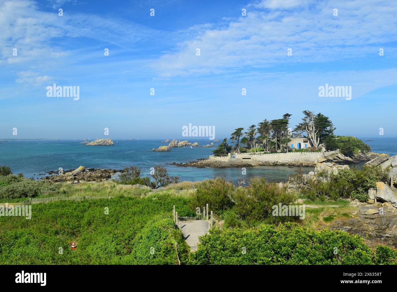 Île Fort de Perharidy, Roscoff, Bretagne Breizh, Finistère, France Banque D'Images
