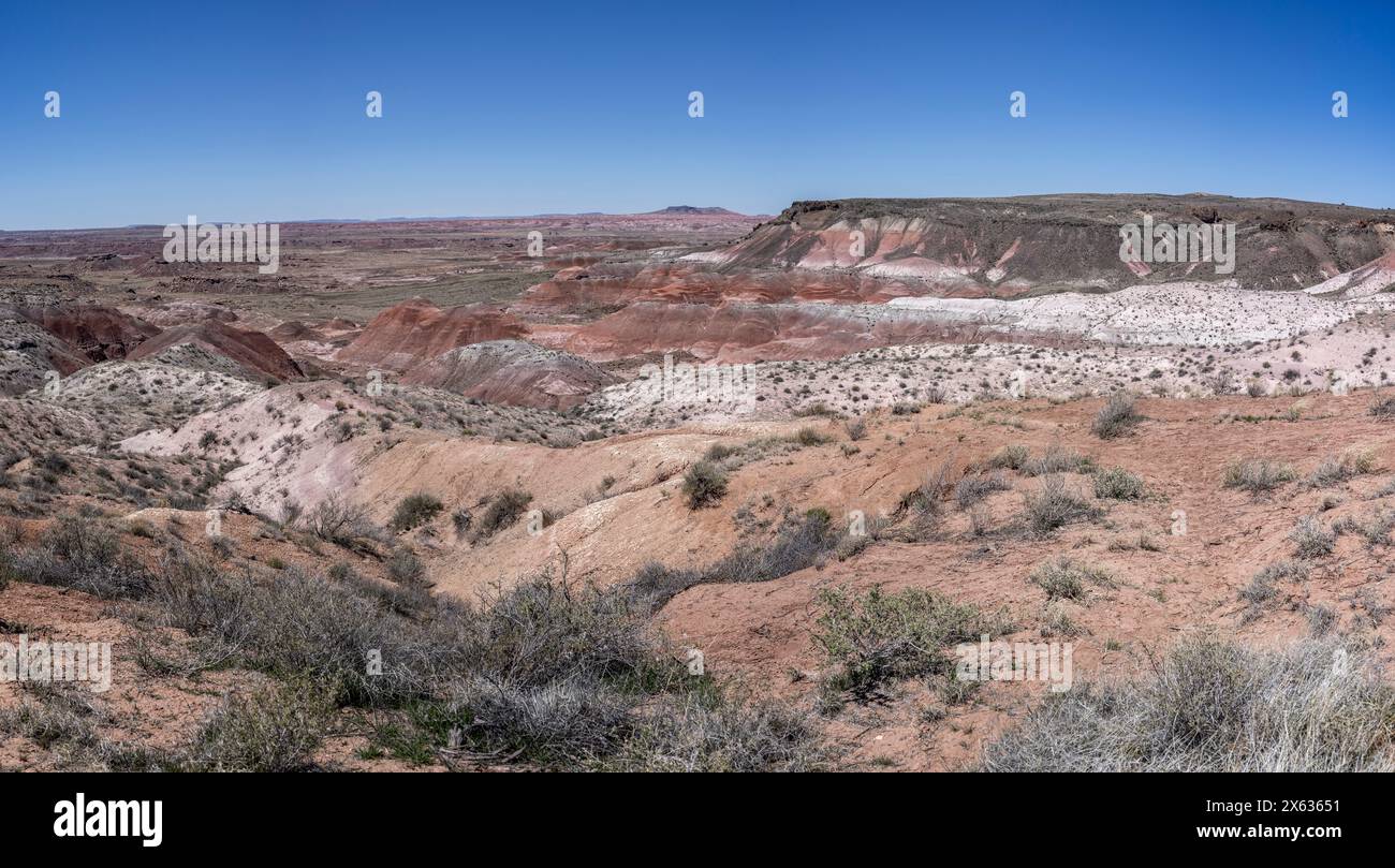 Vue panoramique du désert peint depuis le parc national de la Forêt pétrifiée, Arizona, États-Unis le 17 avril 2024 Banque D'Images