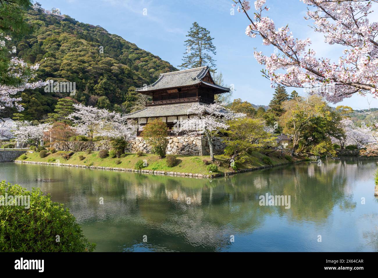 Pavillon Kinunkaku le long des douves dans le parc Kikko. Les cerisiers fleurissent pleinement au printemps. Iwakuni, préfecture de Yamaguchi, Japon Banque D'Images