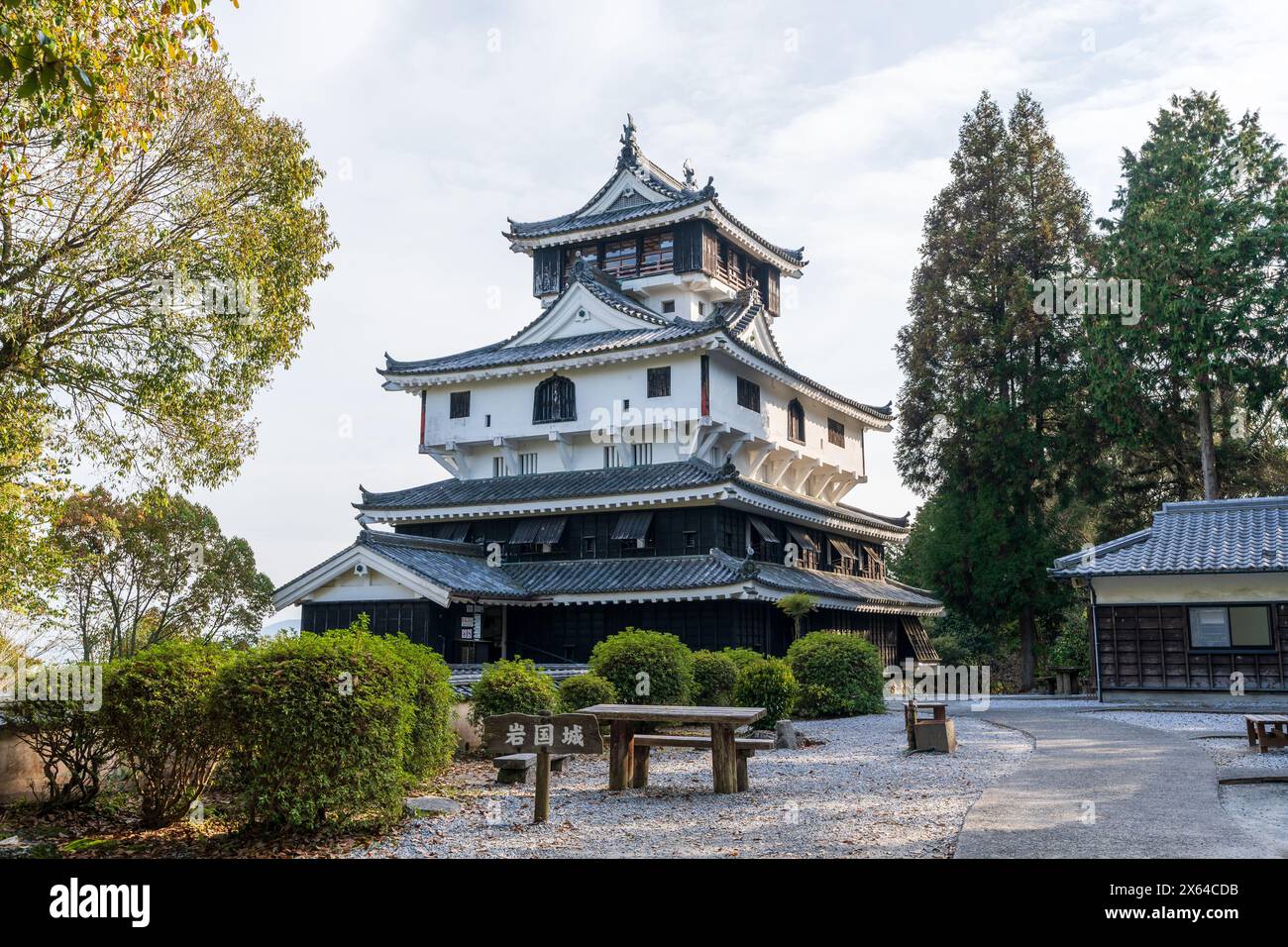 Château d'Iwakuni avec fleurs de cerisier en pleine floraison. Iwakuni, préfecture de Yamaguchi, Japon. Banque D'Images