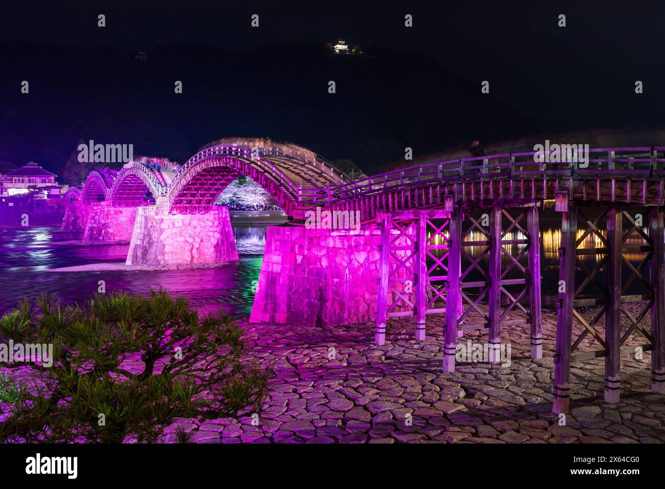 Kintai Bridge Sakura Festival. Les cerisiers fleurissent le long de la rive de la rivière Nishiki. Iwakuni, préfecture de Yamaguchi, Japon. Banque D'Images