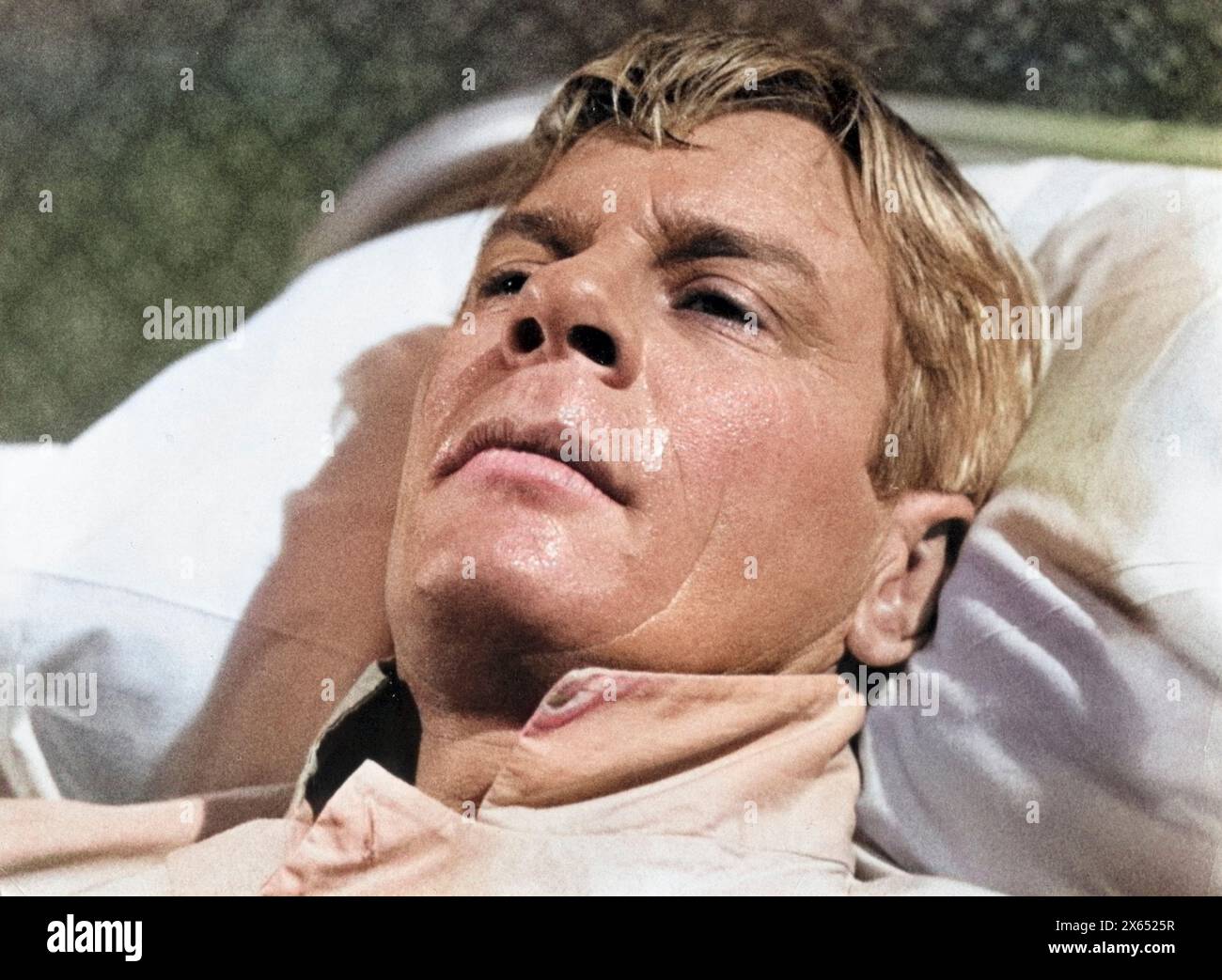 Graves, Peter, 18.3.1926 - 14.3,2010, acteur américain, portrait, INFORMATIONS-AUTORISATION-DROITS-SUPPLÉMENTAIRES-NON-DISPONIBLES Banque D'Images