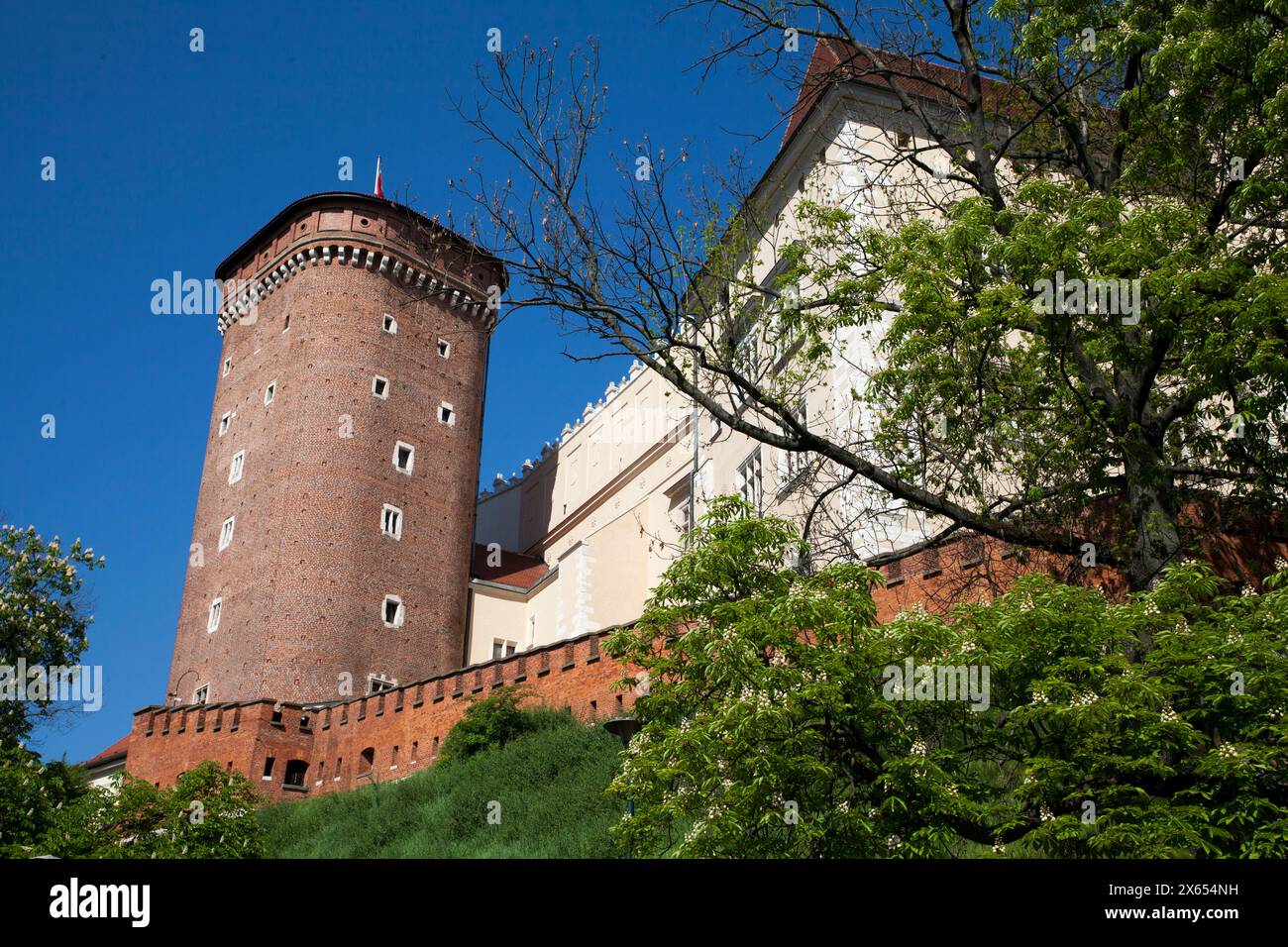 Tour Senatorska - Baszta Senatorska na Wawelu Banque D'Images