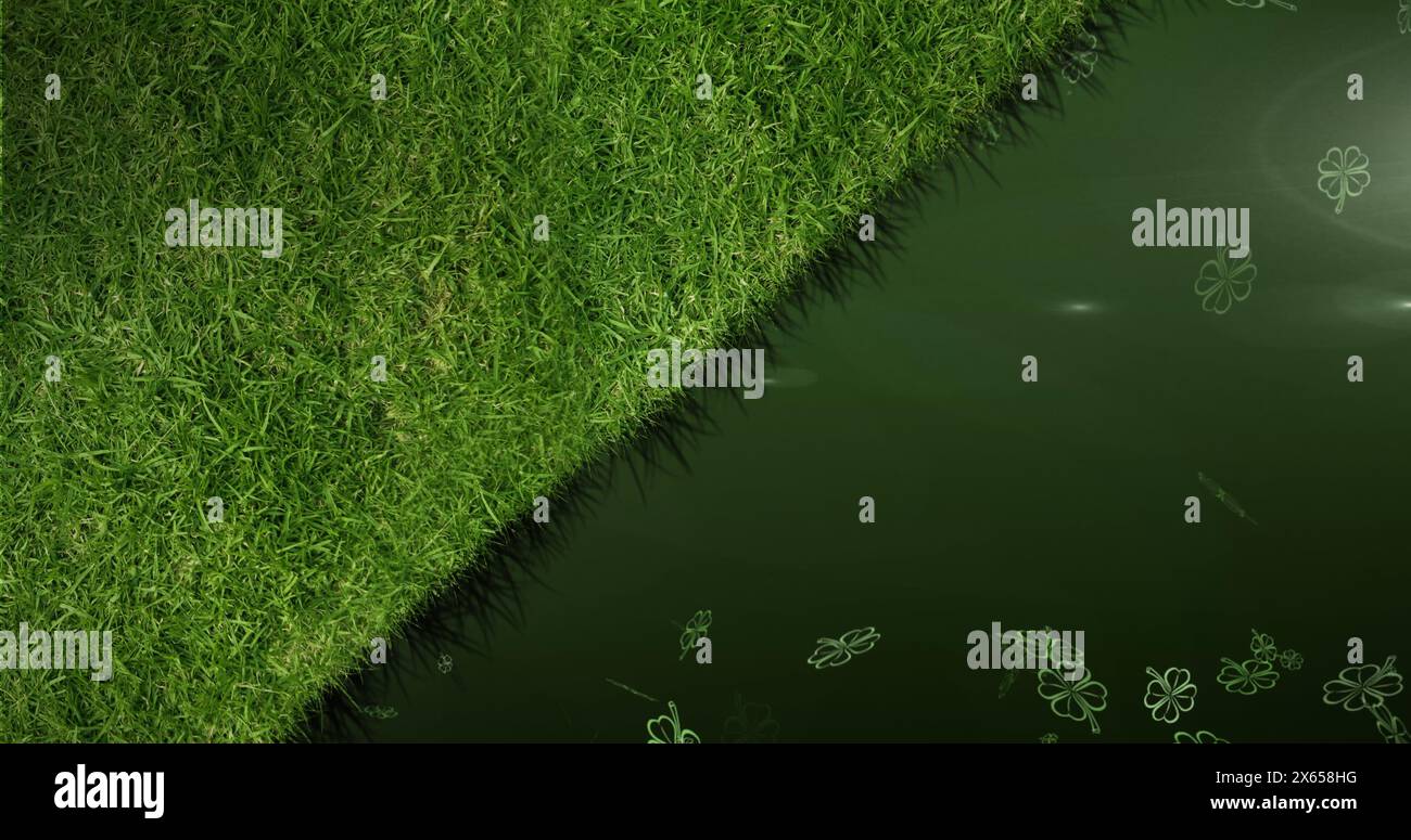 Image de trèfle et d'herbe sur fond noir Banque D'Images