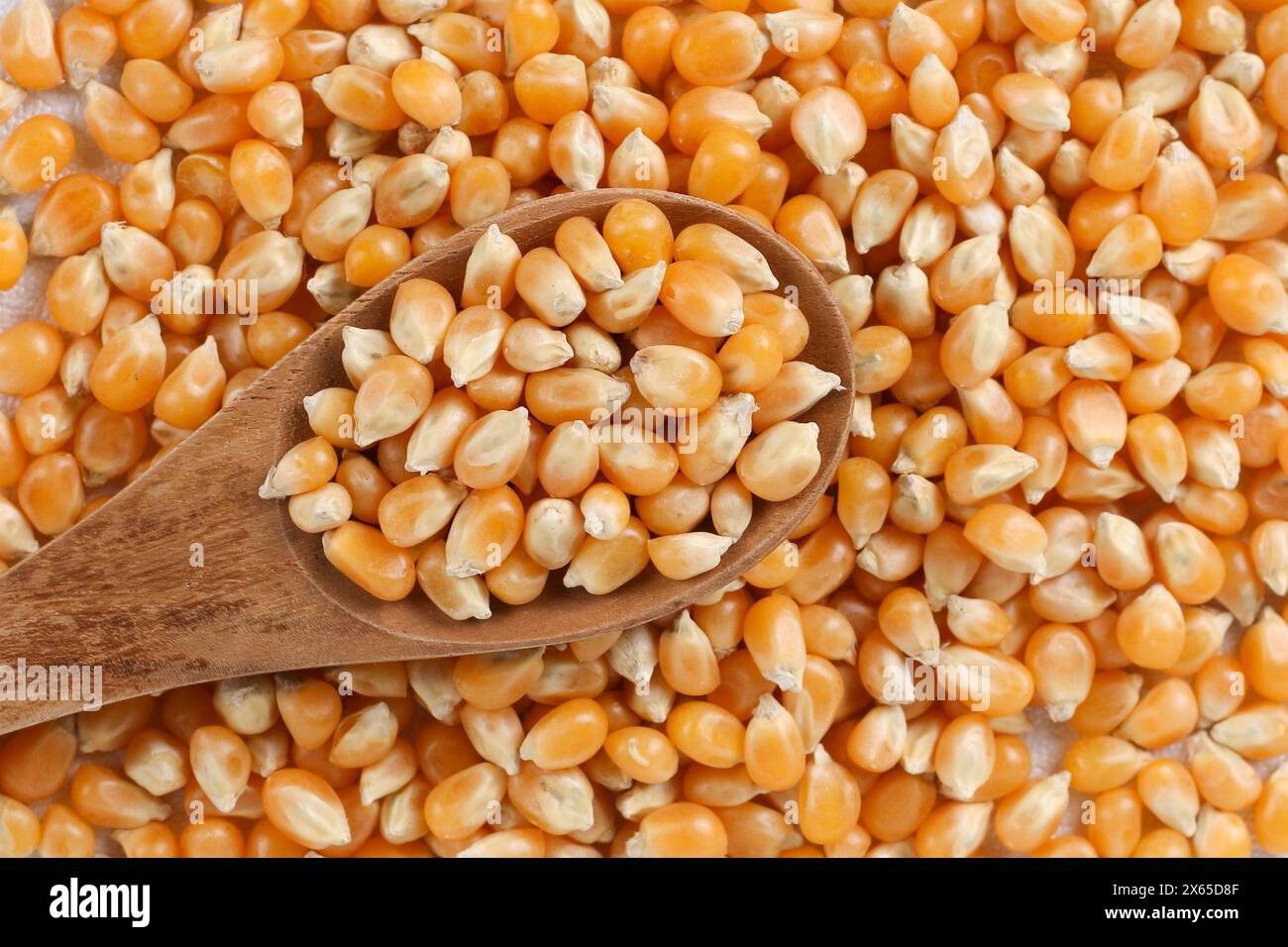 Maïs séché ou grains de maïs sur fond blanc avec cuillère. Banque D'Images