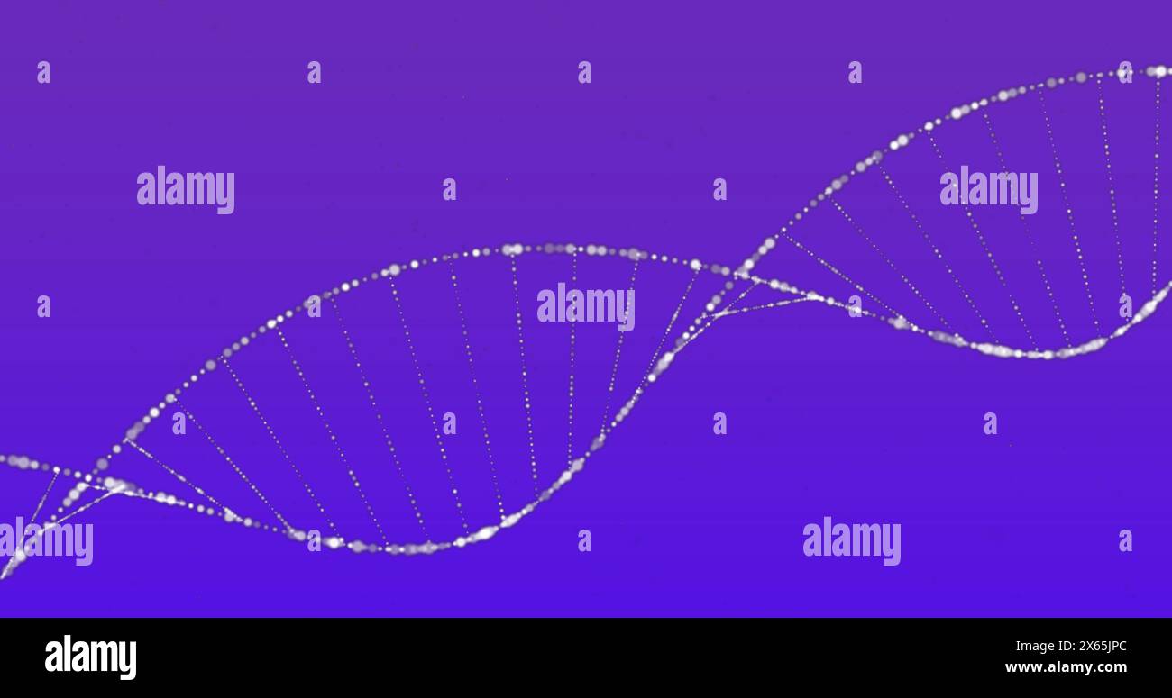 Image de la structure de l'adn tournant sur fond dégradé bleu Banque D'Images