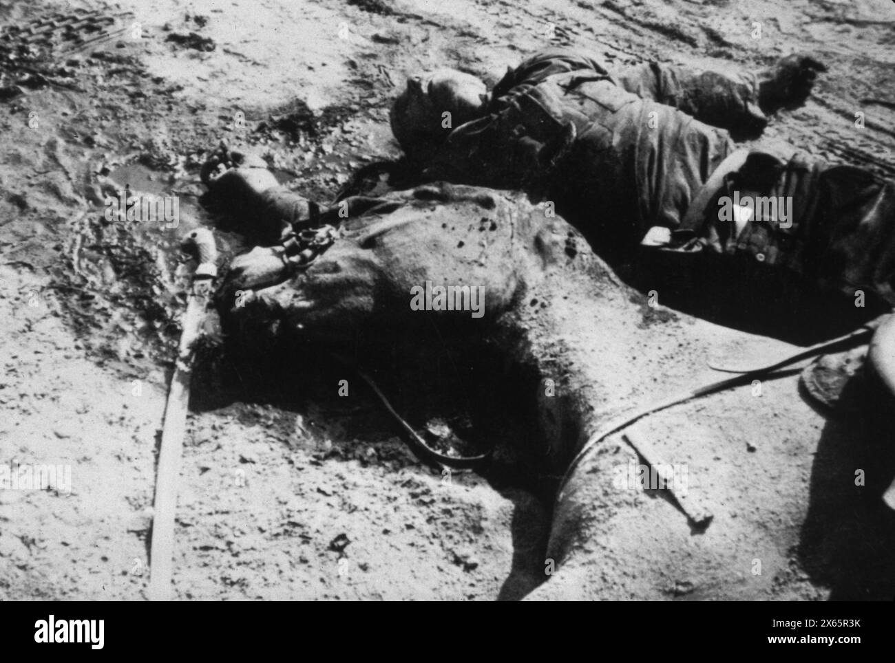 Soldat cosaque mort et son cheval pendant l'invasion allemande de la Russie, seconde Guerre mondiale 1941 Banque D'Images