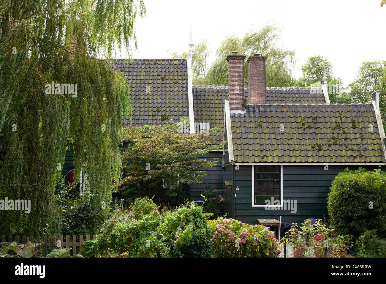 maison en bois vert avec des buissons verts et des arbres Banque D'Images