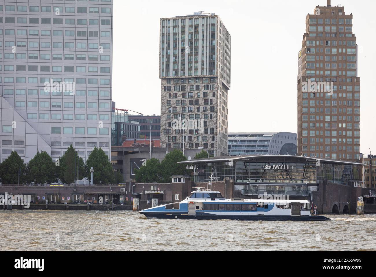 Bateau-bus naviguant dans le port de Rotterdam, transports en commun à la Meuse, pays-Bas Banque D'Images