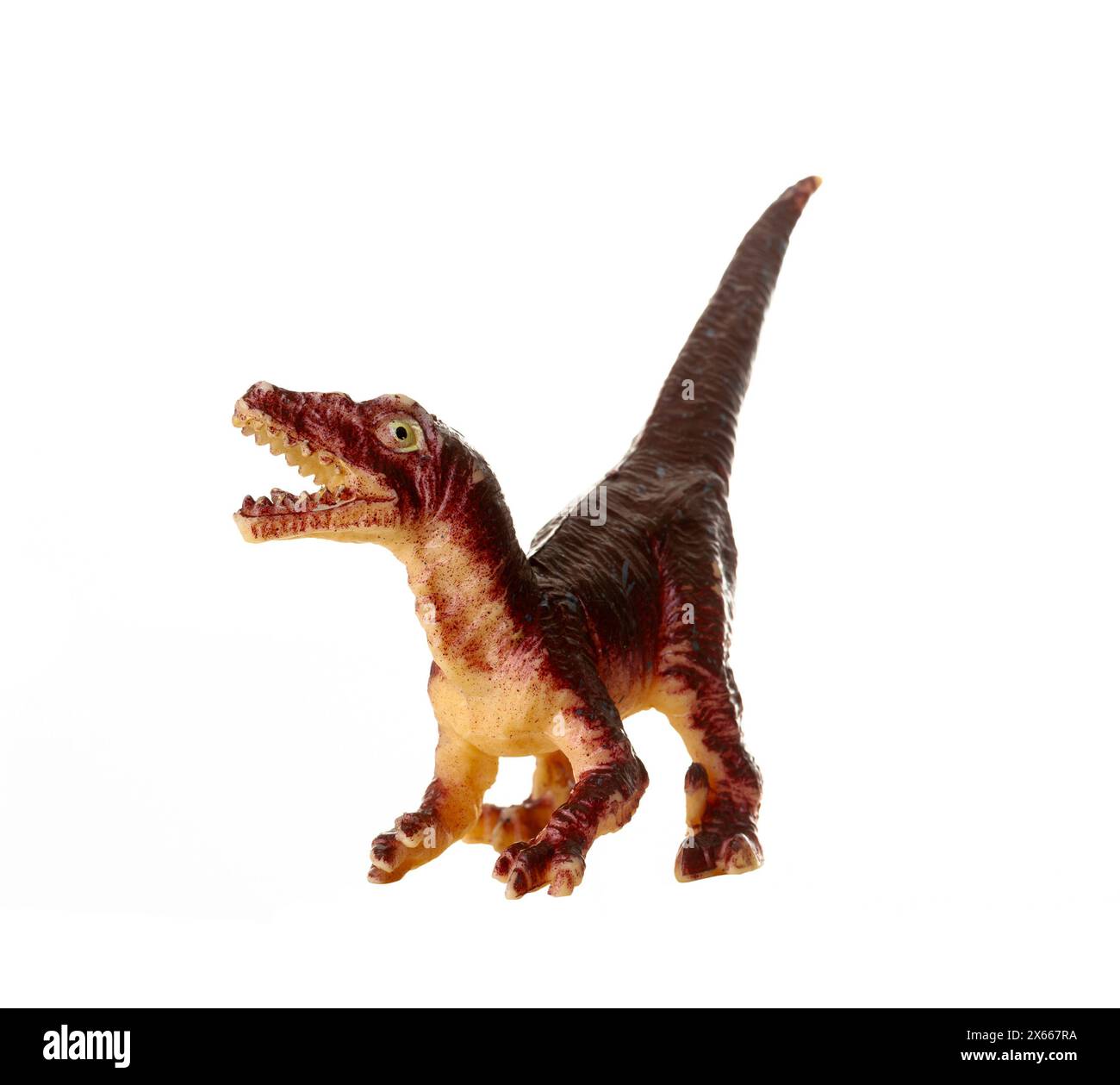 Réplique détaillée d'un dinosaure vélociraptor isolé sur un fond blanc Banque D'Images