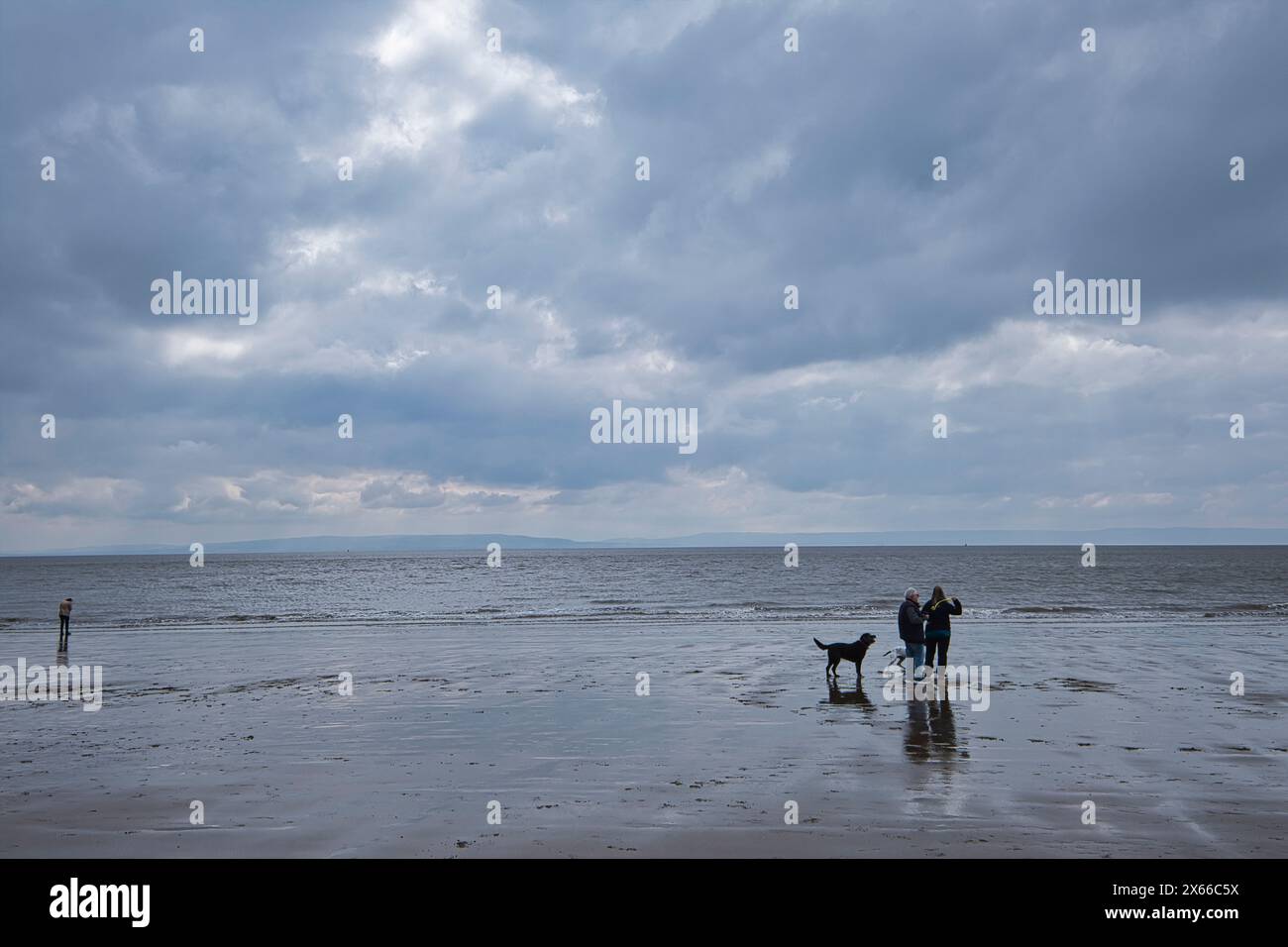 Couple promenant leurs chiens sur la plage de Whitmore Bay sur l'île de Barry au pays de Galles au début du printemps Banque D'Images