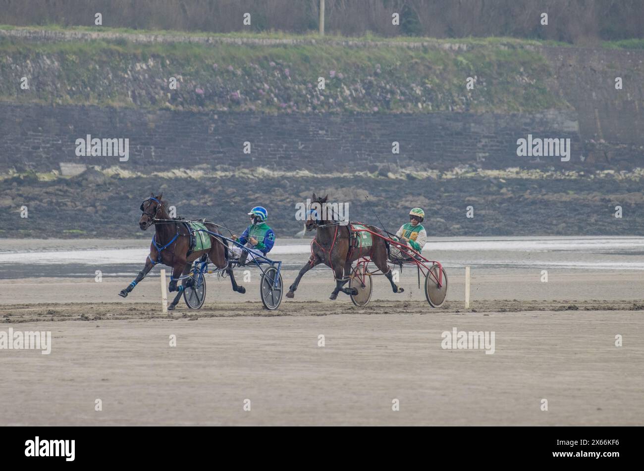 Course attelée sur la plage de Harbour View, Kilbrittain, West Cork, mai 2024 Banque D'Images