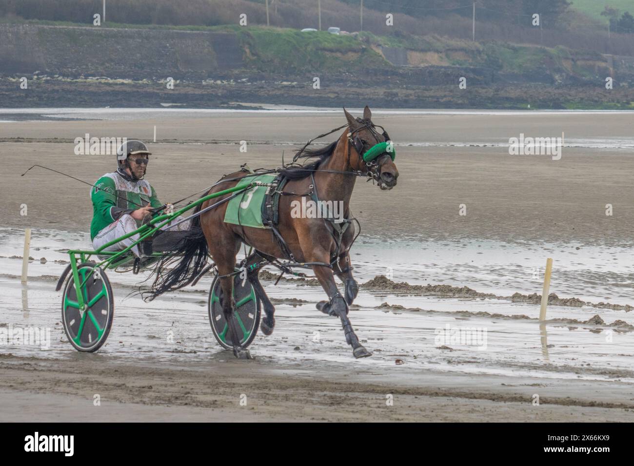 Course attelée sur la plage de Harbour View, Kilbrittain, West Cork, mai 2024 Banque D'Images