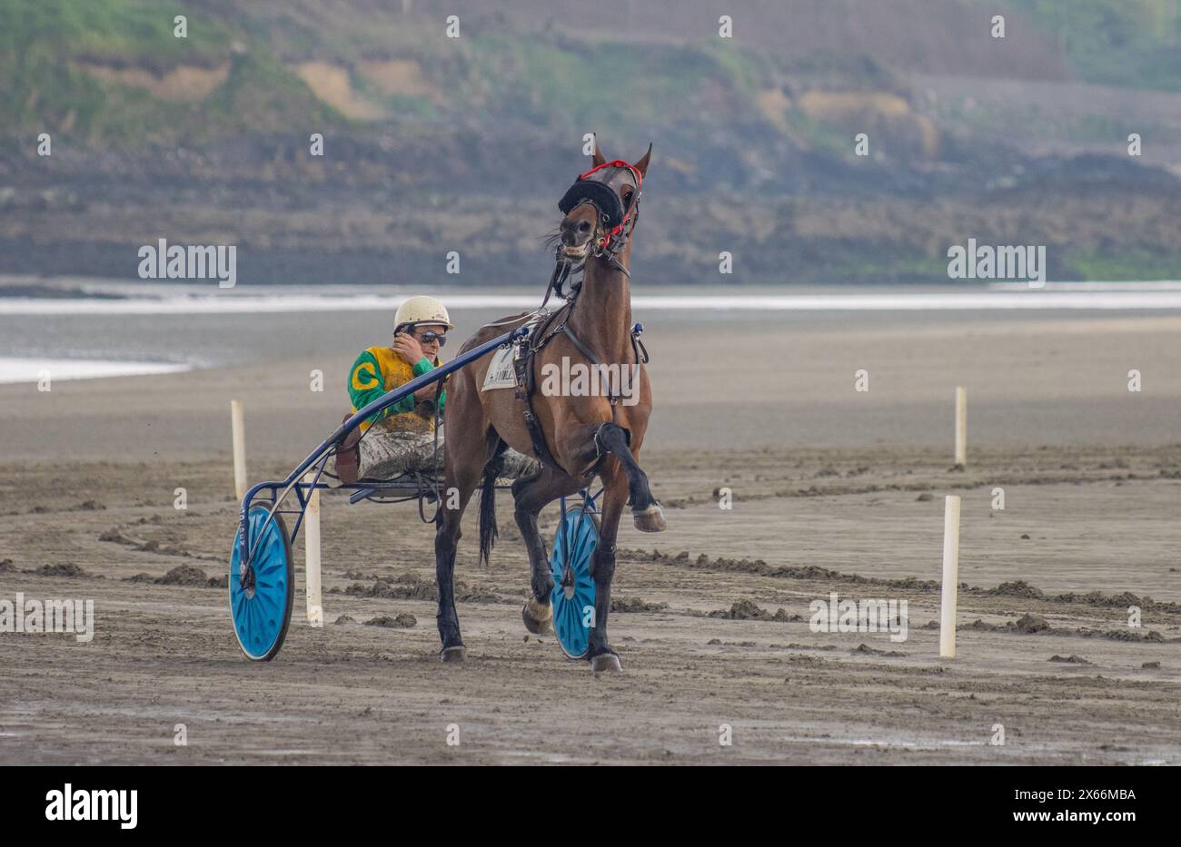 Course attelée sur la plage de Harbour View, Kilbrittain, West Cork, mai 2024 Banque D'Images