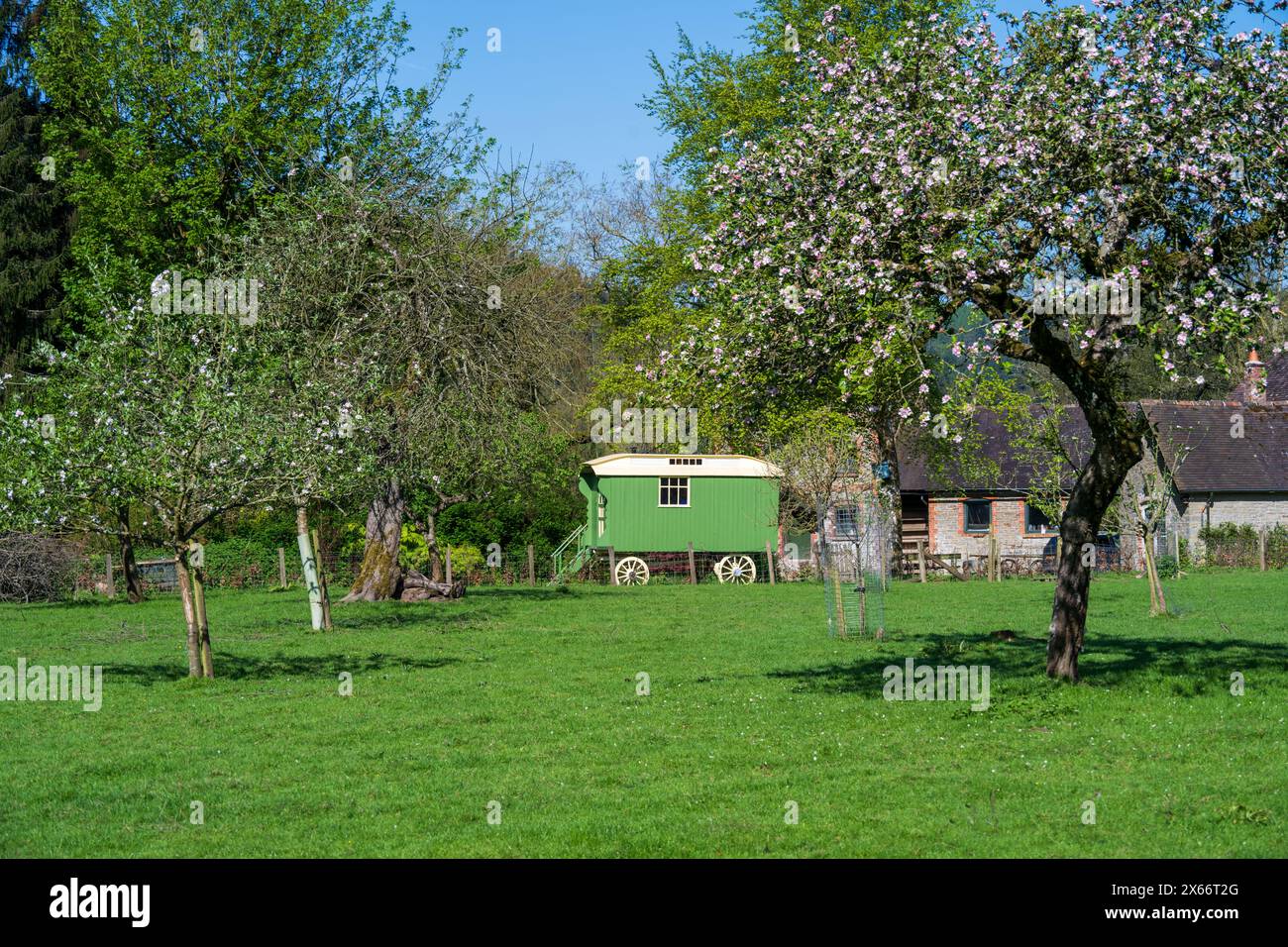 Traditional Shepherds Hut dans le village rural d'Aymestrey Herefordshire UK. Banque D'Images