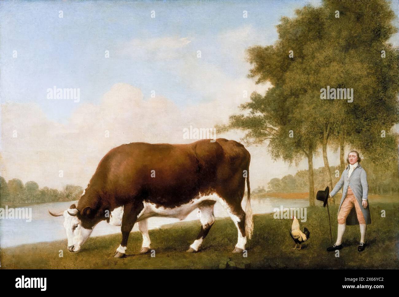 George Stubbs, The Lincolnshire Ox, portrait peint à l'huile sur panneau, 1790 Banque D'Images