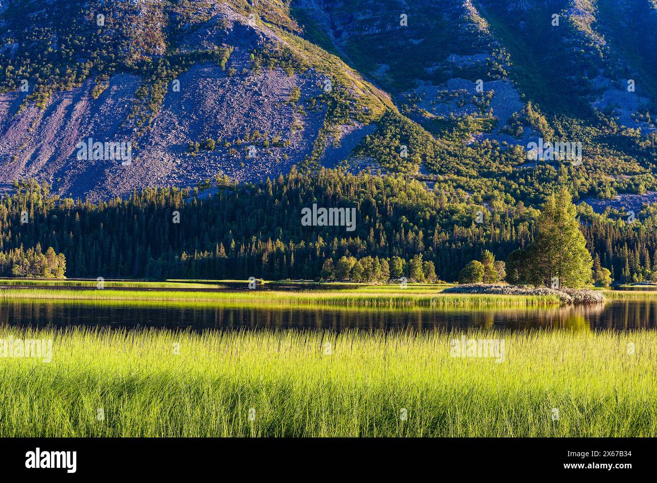 Un lac entouré d'herbe verte luxuriante avec des montagnes majestueuses en arrière-plan, créant une vue panoramique de la beauté de la nature. Banque D'Images
