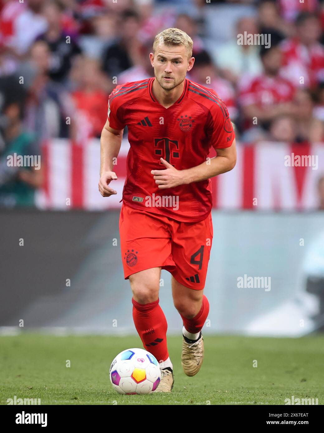 MUNICH, ALLEMAGNE - 12 MAI : Matthijs de Ligt du FC Bayern Muenchen court avec un ballon lors du match de Bundesliga entre le FC Bayern München et le VfL Wolfsburg à l'Allianz Arena le 12 mai 2024 à Munich, en Allemagne. © diebilderwelt / Alamy Stock Banque D'Images