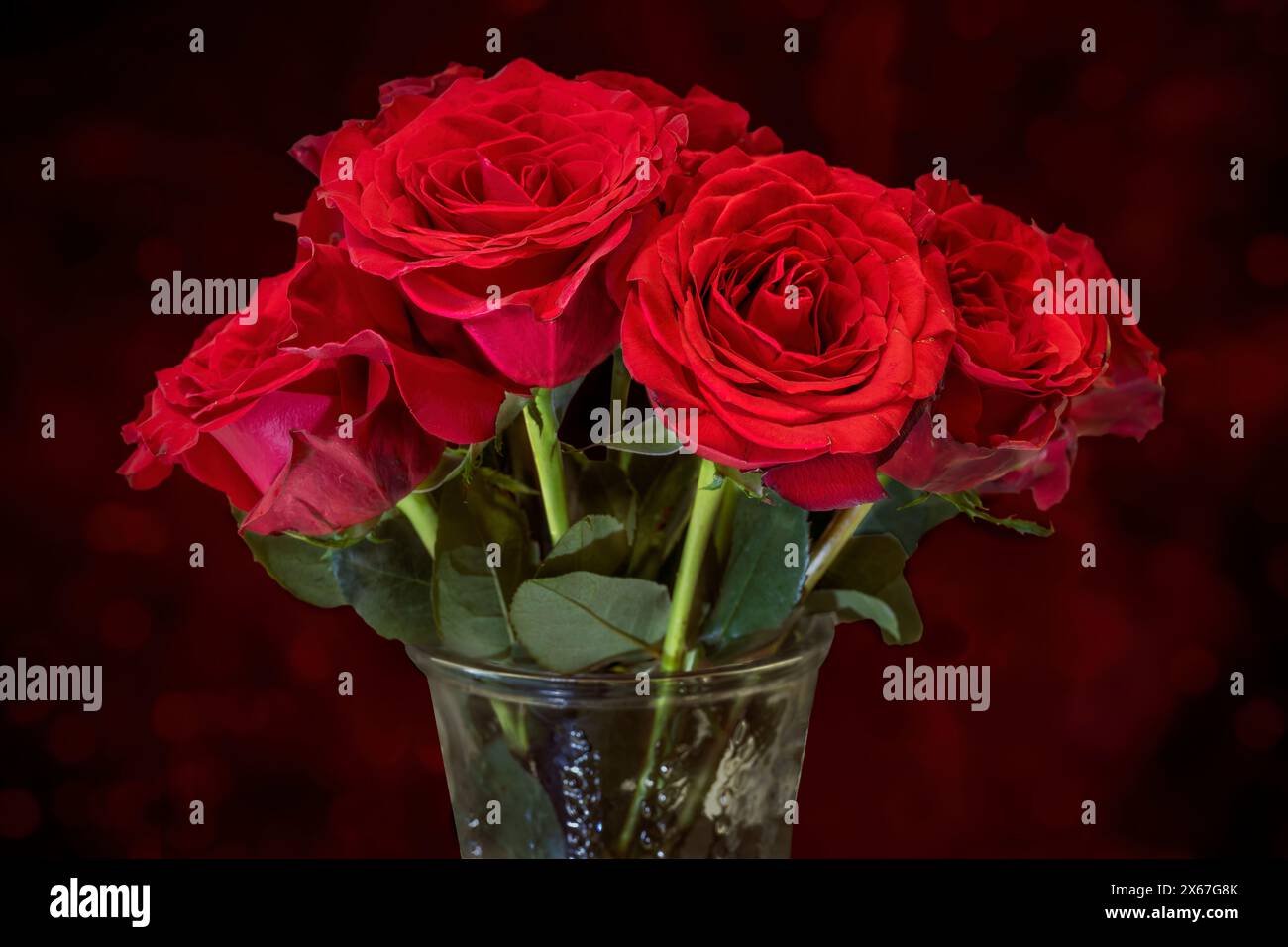 Gros plan de roses rouges dans un vace. Arrière-plan flou bokeh. Banque D'Images