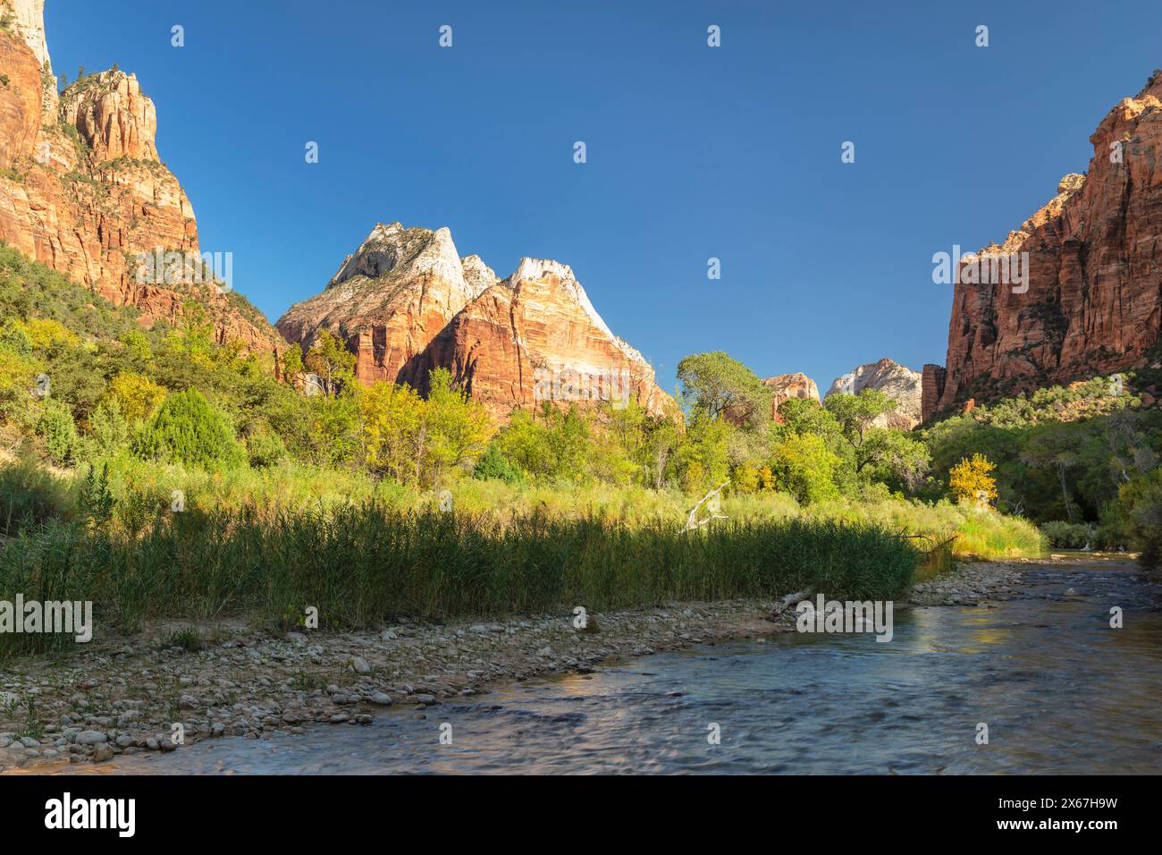 Virgin River et court of Patriarches, parc national de Zion, Utah, États-Unis Banque D'Images