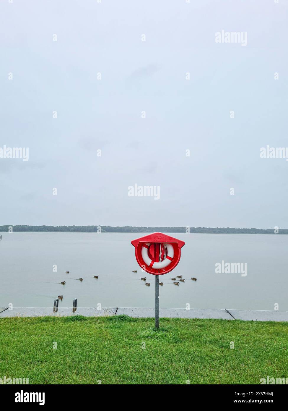 Bouée de sauvetage rouge et blanche dans un logement à côté de la rive sur une pelouse verte devant l'eau avec des canards en arrière-plan, port, Ribnitz-Damgarten, Mecklenburg-Poméranie occidentale, Allemagne Banque D'Images