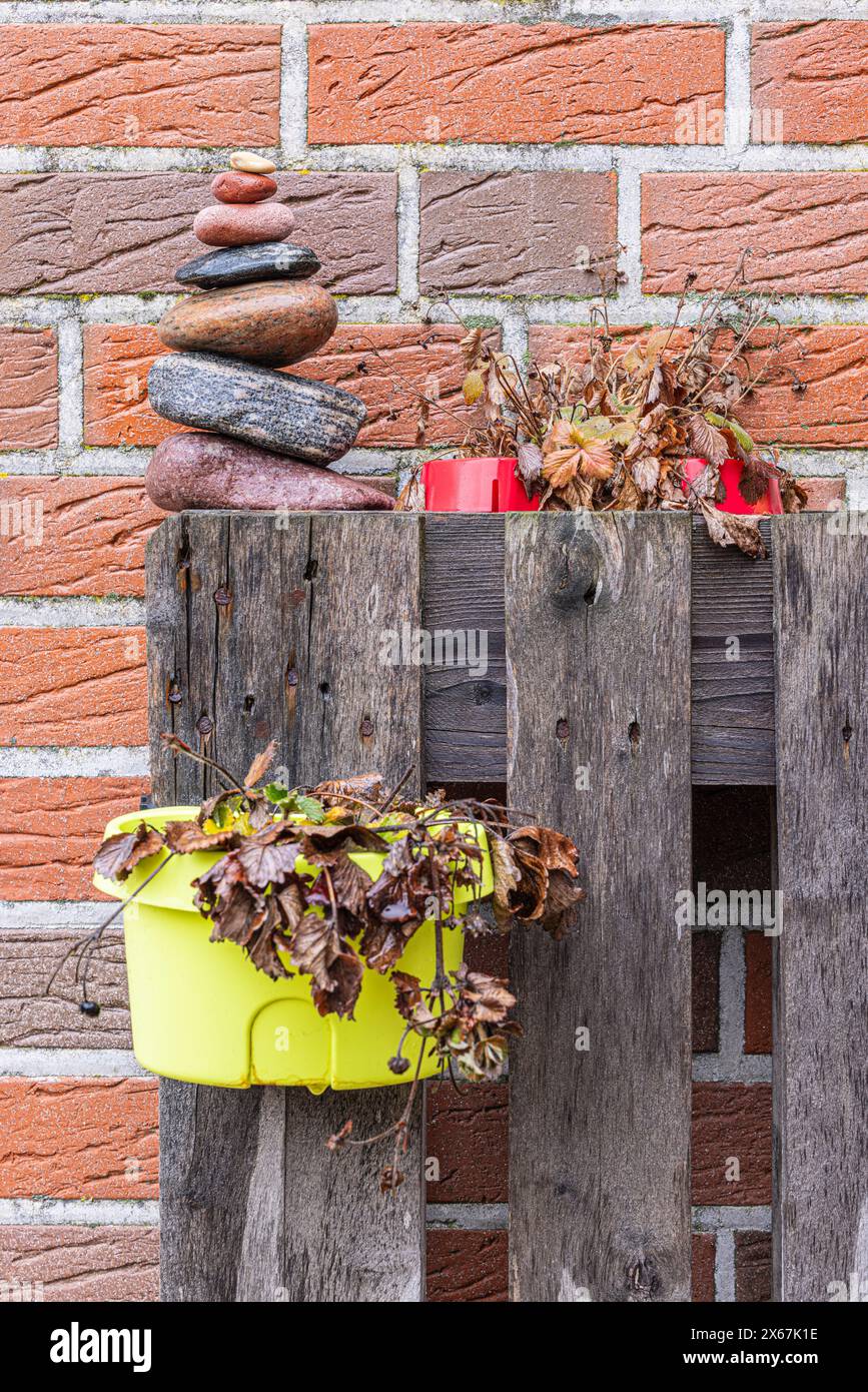 jardin, concept d'automne, décoration, cairn, fraises séchées à l'automne Banque D'Images