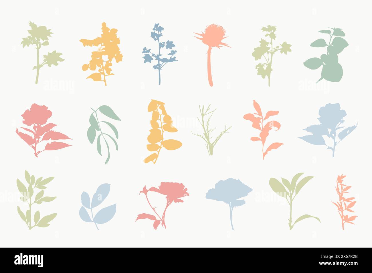 Fleurs botaniques silhouettes ensemble plantes dessinées à la main Illustration de Vecteur