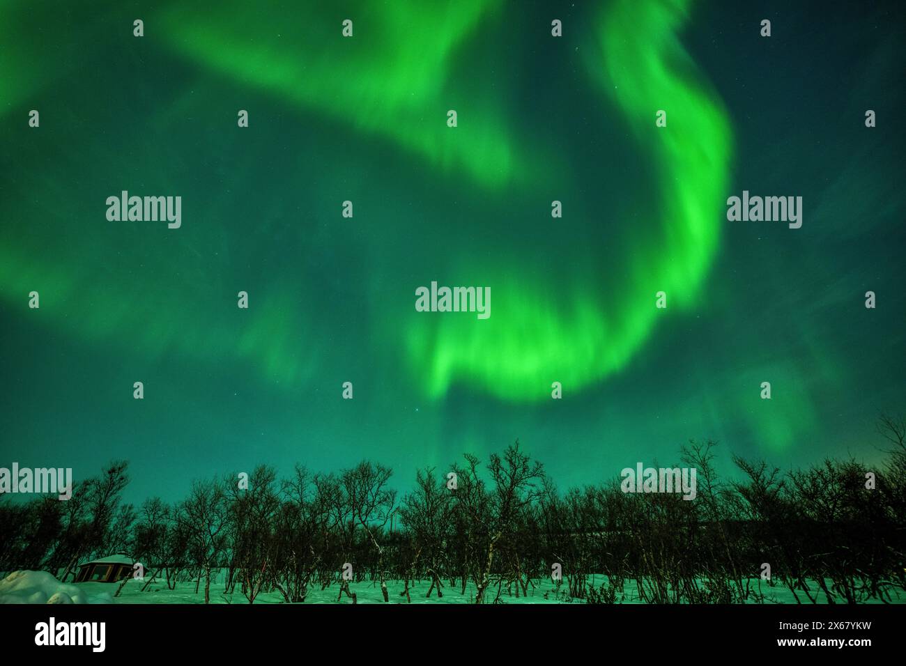 Aurores boréales, péninsule de Varanger, Finnmark, Norvège, Banque D'Images