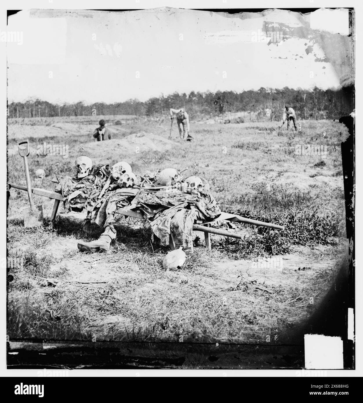 Cold Harbor, Virginie (environs). Collecte des restes de morts sur le champ de bataille, photographies de la guerre de Sécession 1861-1865 Banque D'Images