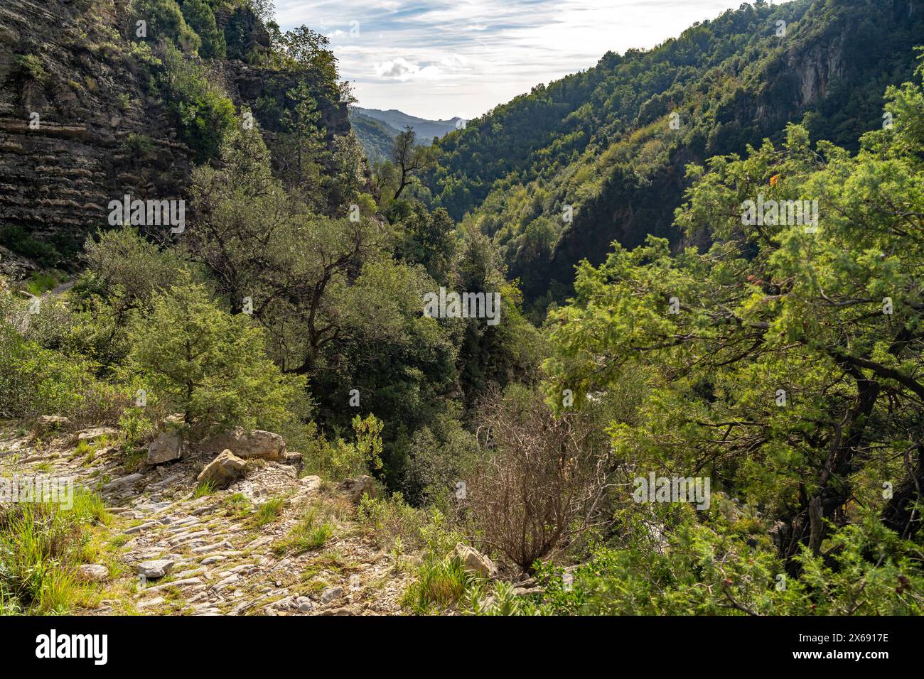 Sentier de randonnée dans la vallée du Val Nervia, Parc naturel régional des Alpes Ligures près de Rocchetta Nervina, Ligurie, Italie, Europe Banque D'Images