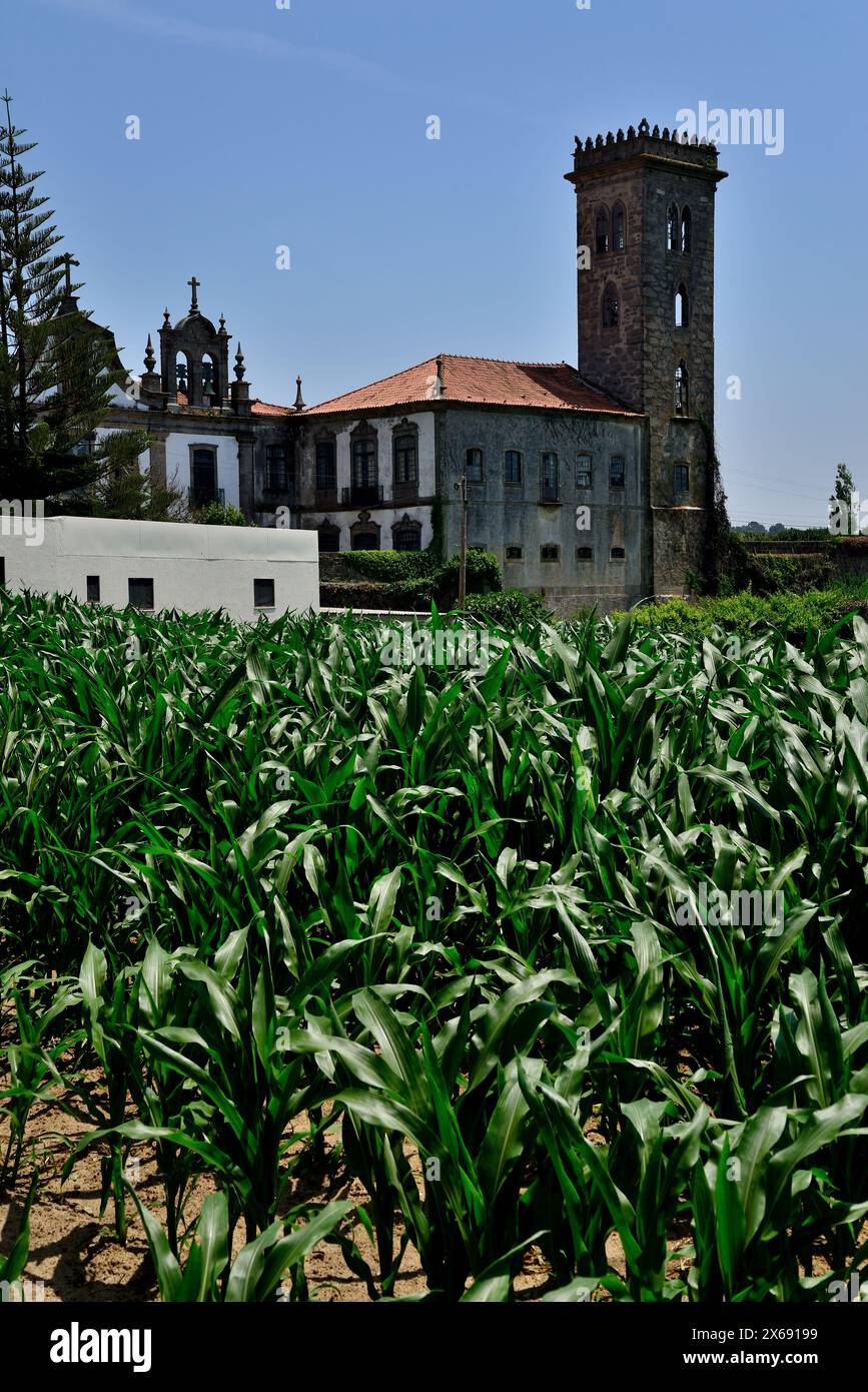 Église de Sao Francisco d'Azurara, Vila do Conde, Porto, Portugal Banque D'Images